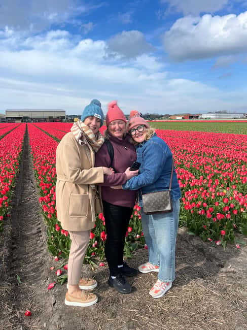 Lisse: Private Tulip Fields Tour with a Local Guide 1h Tour - Who this tour suits best (and who might want something else)