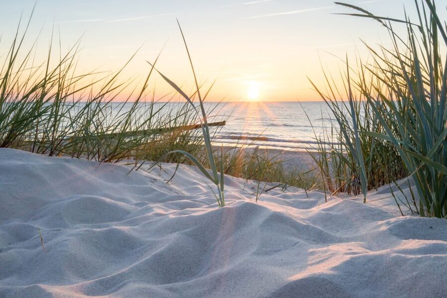 Lisse: Self-Drive Electric Car Dune and Beach Audio Tour - Where you start: Meer en Duin 44 and a quick, friendly handoff