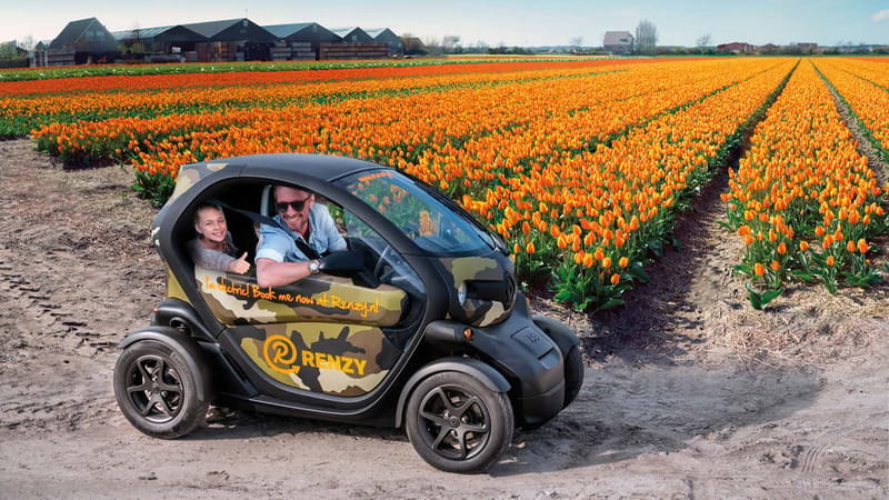 Lisse: Self-Guided Tulip Fields GPS Audio Tour - Your 20-Kilometer Loop Near Keukenhof, With Stop-Whenever Freedom