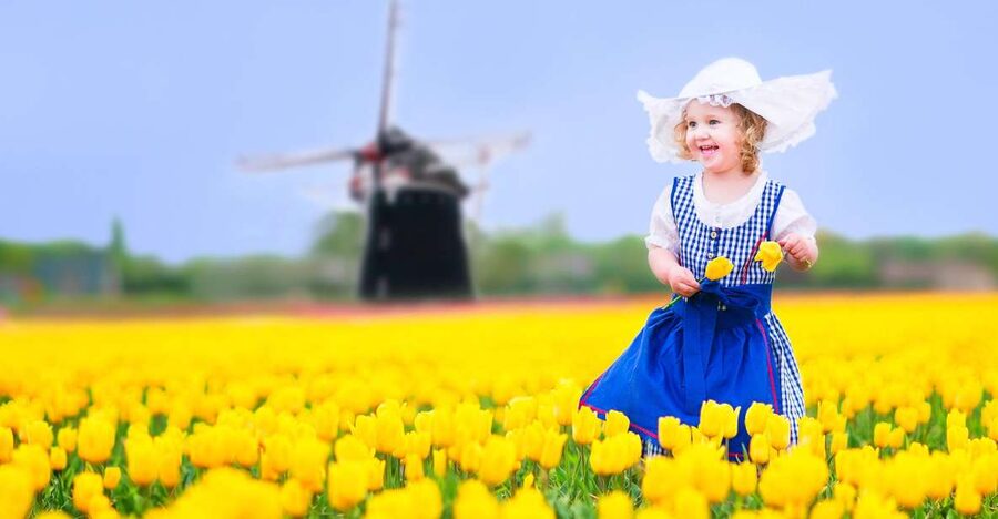 Magical Delft and the Keukenhof Estate: Tulips Galore - Key highlights you’ll care about
