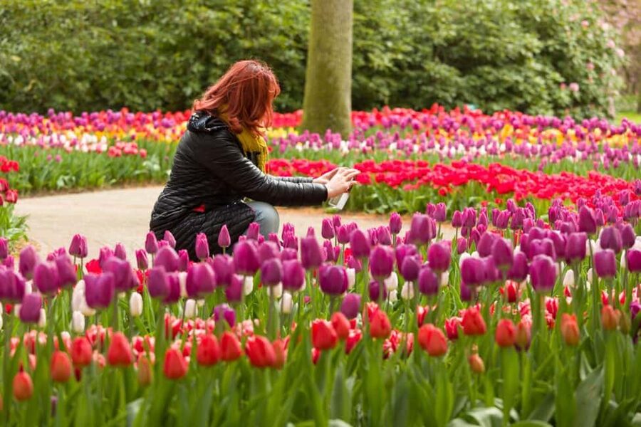 Magical Delft and the Keukenhof Estate: Tulips Galore - The guide matters more than you think