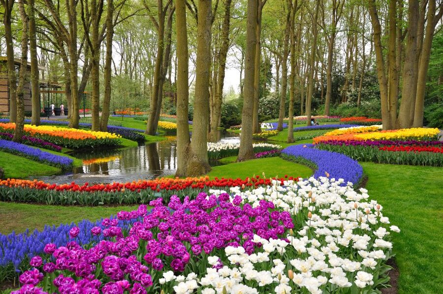 Magical Delft and the Keukenhof Estate: Tulips Galore - Should you book Magical Delft and the Keukenhof Estate?