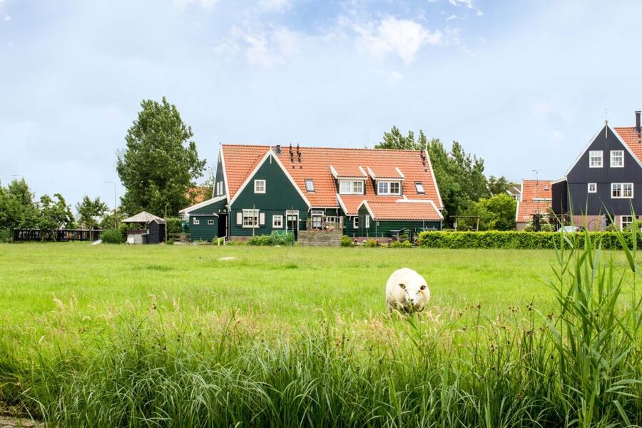 Marken, Volendam and Edam: Private Full-Day Tour - Public transport in North Holland: why the method matters