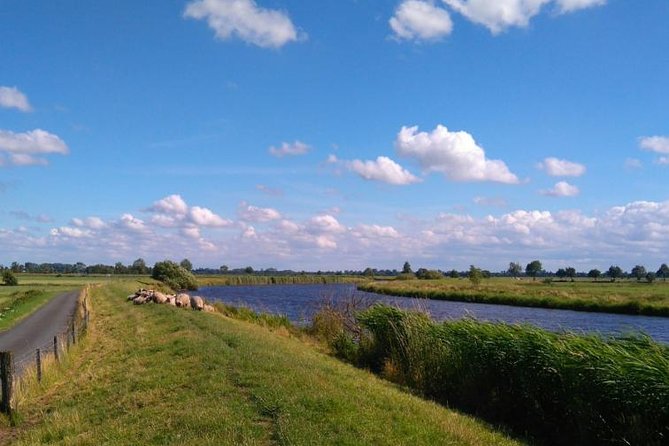 Off the beaten paths Dutch Country Side Private Tour in Jaguar - Simonehoeve Cheesefarm and Clogs Factory: Optional, but Worth Asking For