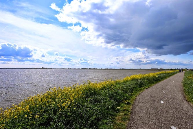 Off the Beaten Paths Dutch Landscape Private Tour 1/2 day Jaguar - Simonehoeve: Optional Cheese and Clogs Demonstration