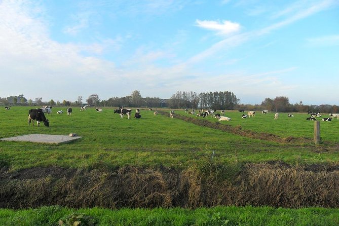 Off the Beaten Paths Dutch Landscape Private Tour 1/2 day Jaguar - Your Guide Matters: How Remco’s Style Improves the Day
