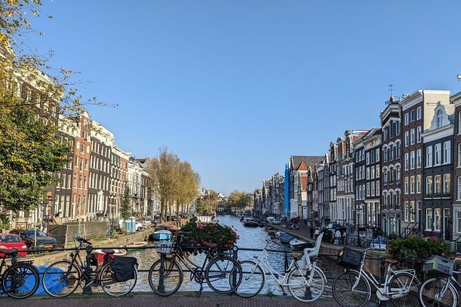 Private Amsterdam Historical Walking Tour - The weather and pace reality check