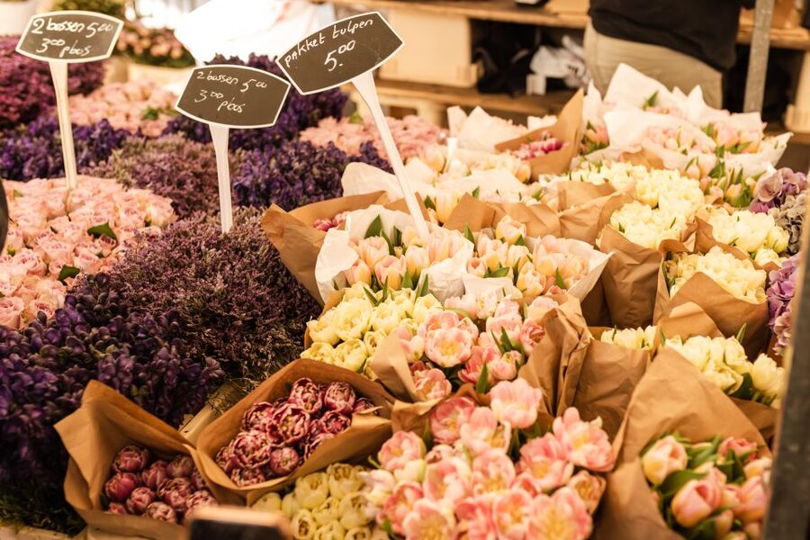 Private Amsterdam Tour with a Local, Flexible & Custom - Picking the Right Time Slot: 3, 4, 6, or 8 Hours