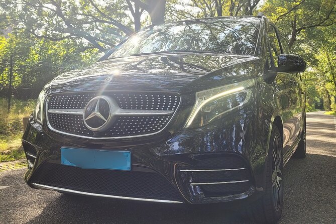 Private Arrival Transfer: Schiphol Airport Amsterdam - Picking the Right Car: Sedan vs. Minivan for Your Group