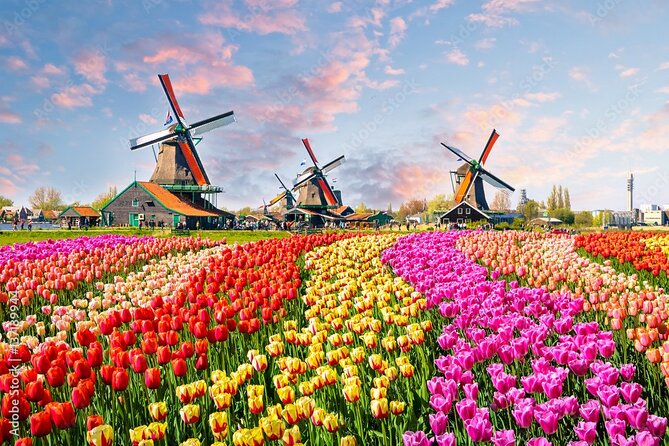 Private Countryside Tour From Amsterdam - Key Highlights You’ll Actually Care About