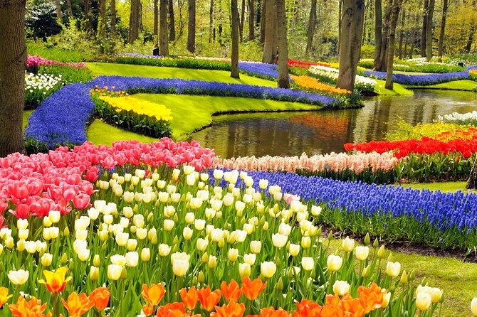 Private custom tour from Amsterdam to Giethoorn - Price and value: is $501.22 per person worth it?