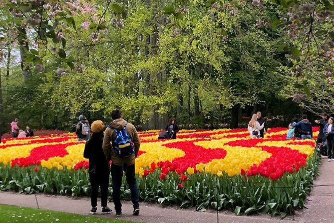 Private Day Tour to Keukenhof Gardens - from Amsterdam/Rotterdam - From your hotel to the tulip fields: how the day runs
