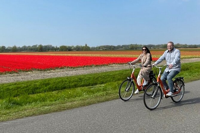 Private Day Tour to Keukenhof Gardens - from Amsterdam/Rotterdam - What to pack for a spring Keukenhof day