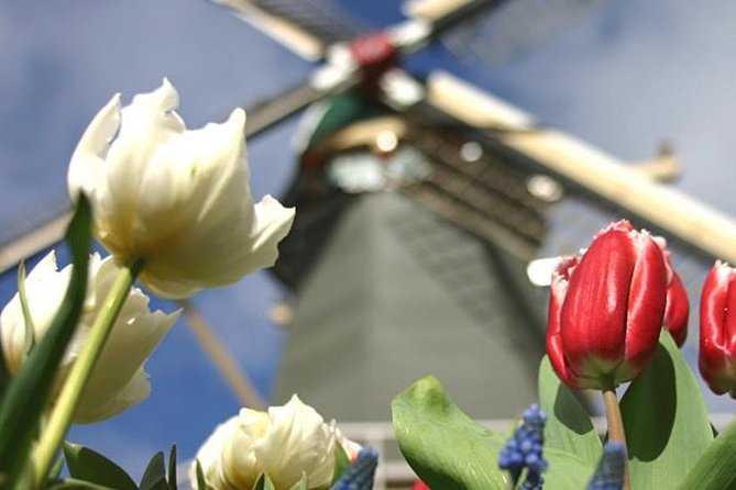 Private Day Tour to Keukenhof Gardens - from Amsterdam/Rotterdam - Price and logistics: is this $23 value?