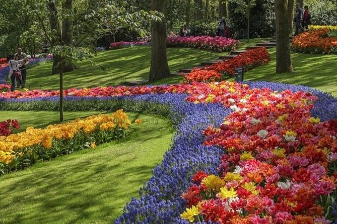 Private Day Tour to Keukenhof Gardens - from Amsterdam/Rotterdam - Should you book this Keukenhof tour?