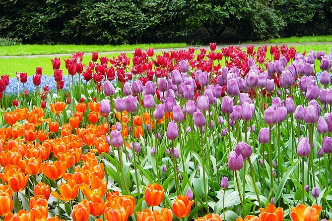 Private Day Trip from Amsterdam to Keukenhof with Entrance Tickets - Hotel pickup and private transportation: the stress-free start