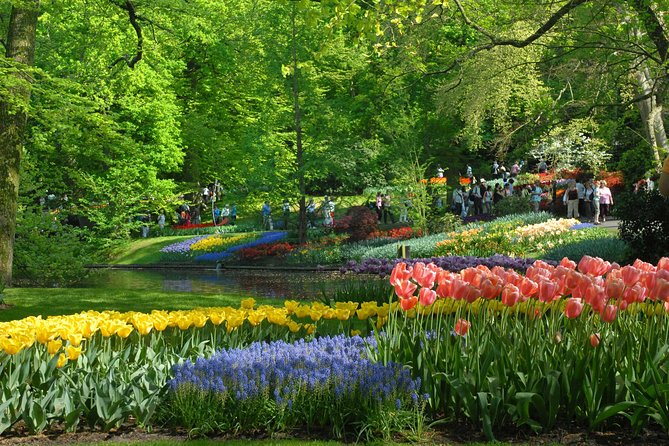 Private Day Trip from Amsterdam to Keukenhof with Entrance Tickets - Who this tour is best for (and who should think twice)