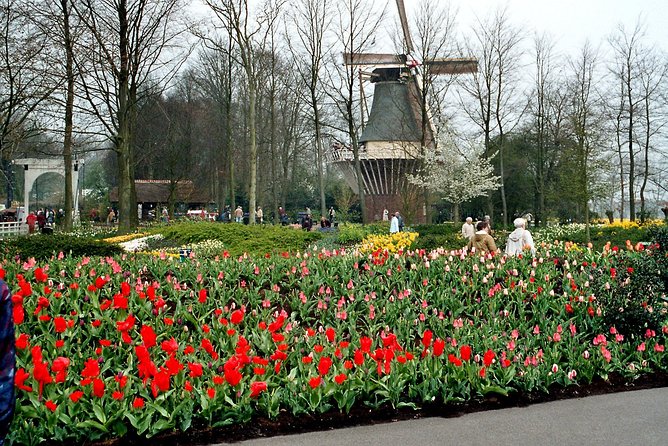 Private Day Trip from Amsterdam to Keukenhof with Entrance Tickets - Price and value: what you’re really paying for