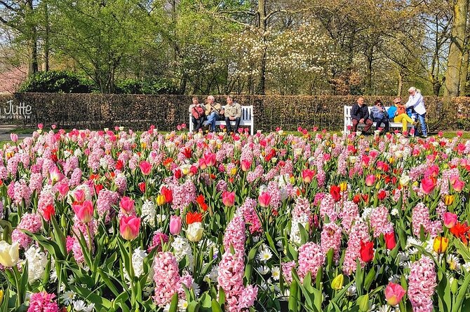 Private Day Trip to Keukenhof Gardens with Entrance Tickets - From Amsterdam to Lisse: a smooth start you’ll actually appreciate