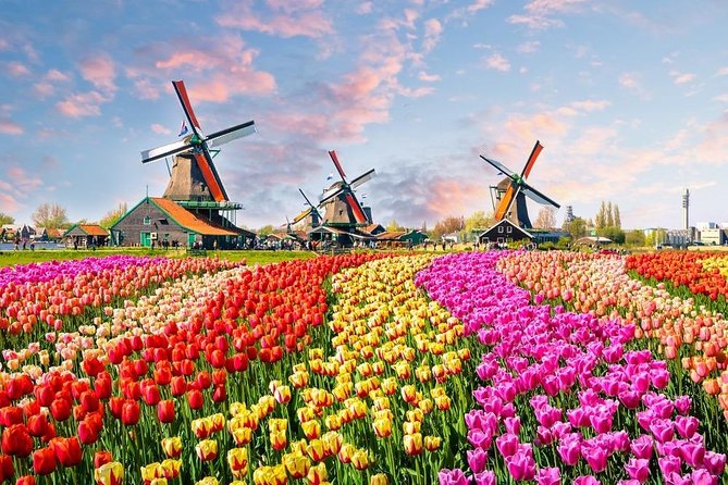 Private Day Trip to Zaanse Schans, Volendam & Marken from Amsterdam - The Value of This Amsterdam Countryside Day Trip