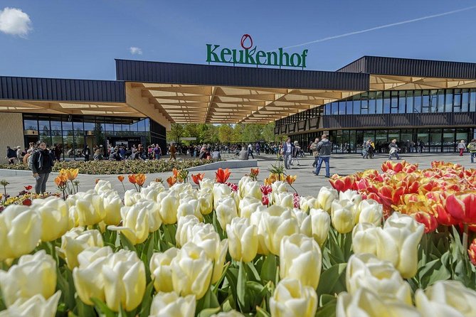 Private daytour from Amsterdam into the Countryside - How Hotel Pickup in Amsterdam Sets the Tone