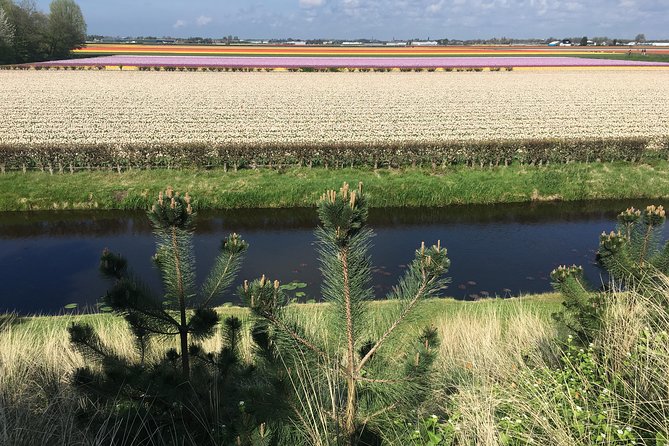 Private daytour from Amsterdam into the Countryside - What the Schedule Feels Like in Real Life (7–8 Hours)