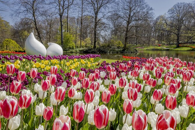 Private Flower Tour to the Keukenhof - Getting to Lisse Without Wasting Your Morning