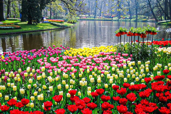 Private Flower Tour to the Keukenhof - Scenic Tulip-Field Driving: The Quiet Luxury of Not Rushing