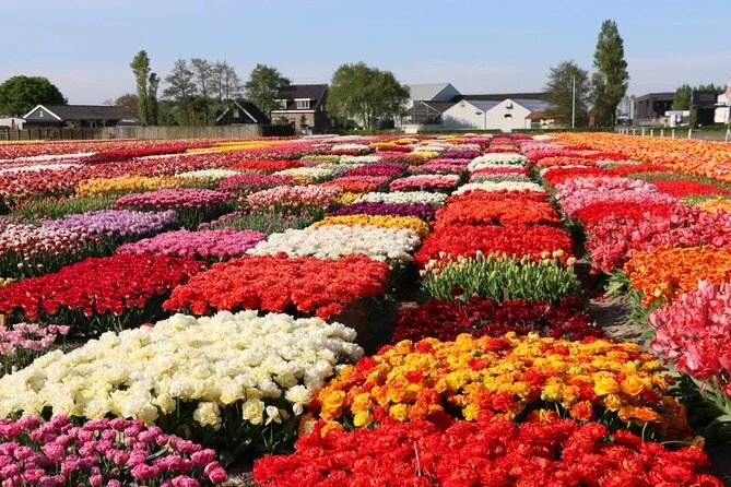 Private Flower Tour to the Keukenhof - Price and What It Means for Your Group