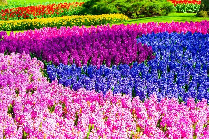 Private Flower Tour to the Keukenhof - Should You Book This Private Flower Tour?