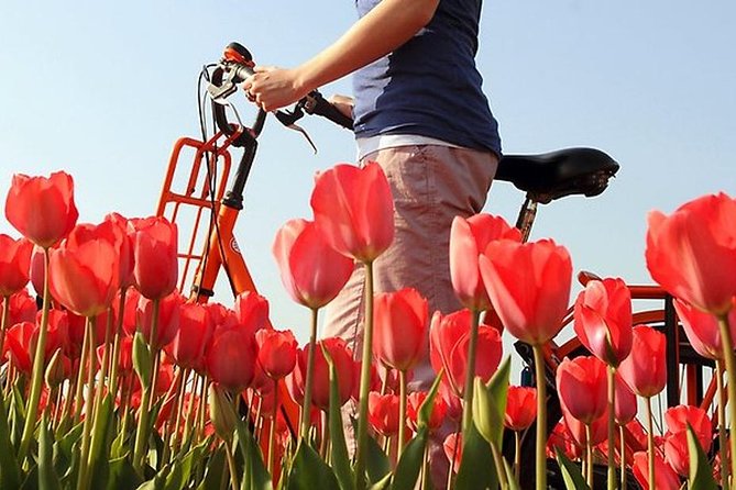 Private Guided Full-Day Customizable Tour of Holland from Amsterdam - The value question: is $675.82 per person worth it?