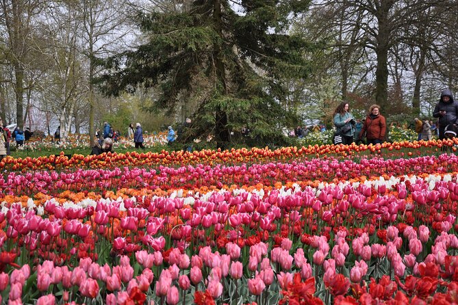 Private Guided Keukenhof Gardens and Zaanse Schans Tour - Zaanse Schans: walking through a preserved windmill world