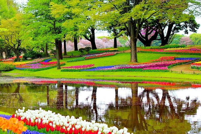 Private Half-Day Trip From Amsterdam to The Tulip Fields in Keukenhof - A practical way to do Keukenhof without the stress