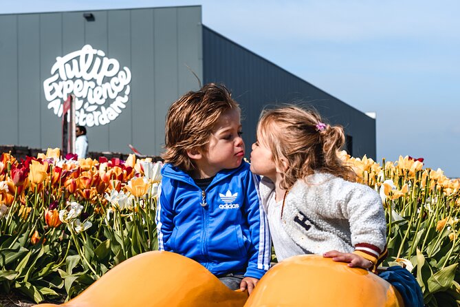 Private Keukenhof Gardens and Tulip Fields Tour from Amsterdam - What makes this private format feel worth it
