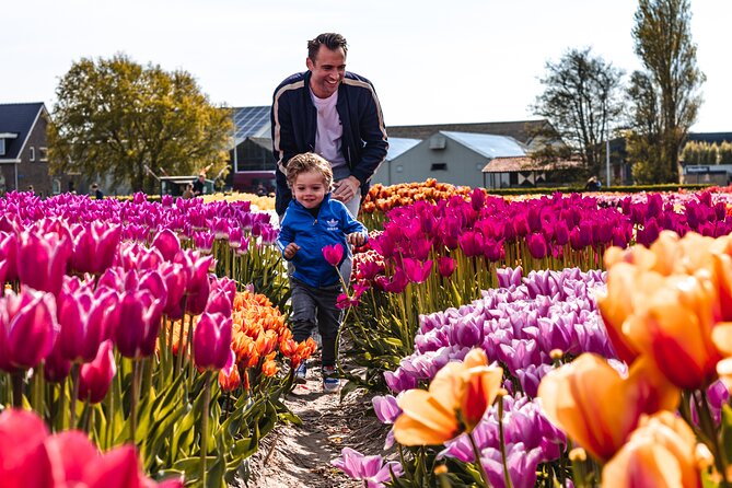 Private Keukenhof Gardens and Tulip Fields Tour from Amsterdam - Who this tour fits best (and who might not need it)