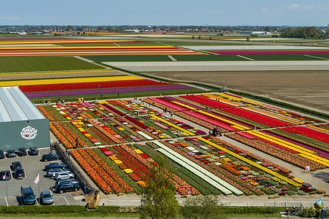 Private Keukenhof, Gardens, Windmills, cheese tour from Amsterdam - Price and value: what $499.43 per person really buys you