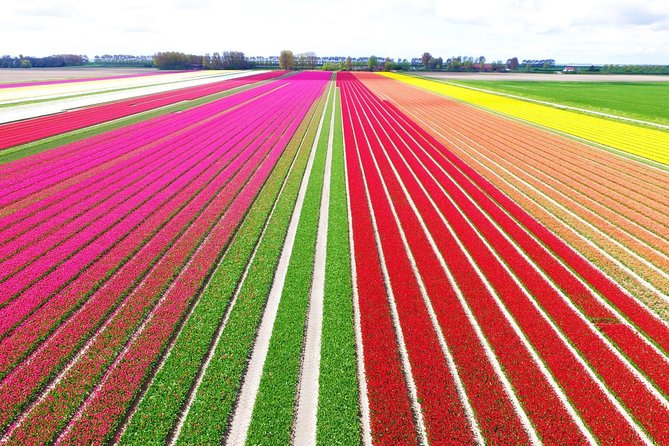 Private Keukenhof Park and Tulip Fields Tour (Skip-The-Line) - Key highlights that make this tour work