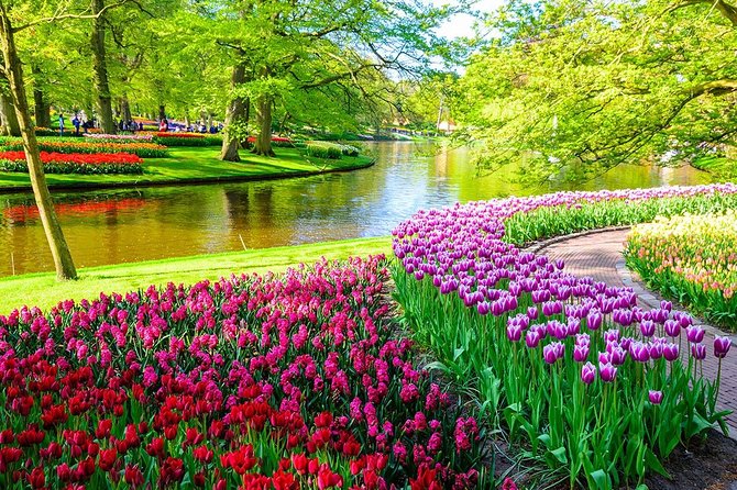 Private Keukenhof Park and Tulip Fields Tour (Skip-The-Line) - Tulip fields and Bollenstreek stops for the best spring photos