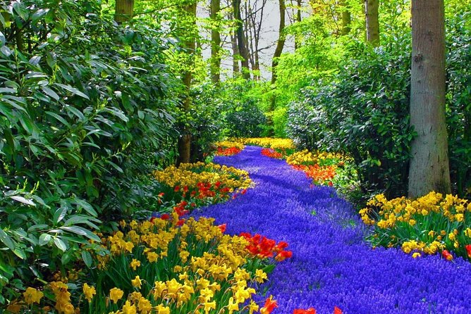 Private Keukenhof Park and Tulip Fields Tour (Skip-The-Line) - When your driver acts like a mini-guide (Sam, Danny, TJ, Robert, Terry, Rolf)