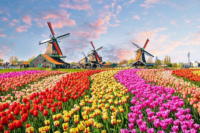 Private Keukenhof Park and Tulip Fields Tour (Skip-The-Line) - Keukenhof Gardens: how to use your ticket time wisely