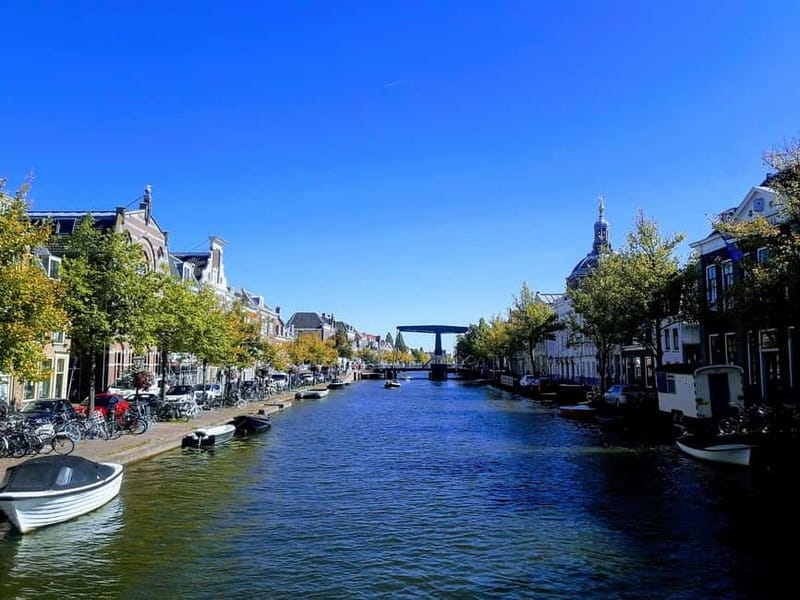 Private Kinderdijk UNESCO Site and South Holland Tour - Key highlights you’ll care about
