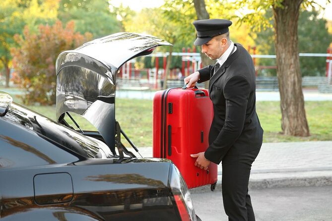 Private One way Transfer Amsterdam Airport to Amsterdam - Pickup and Meet-and-Greet at Schiphol (AMS)