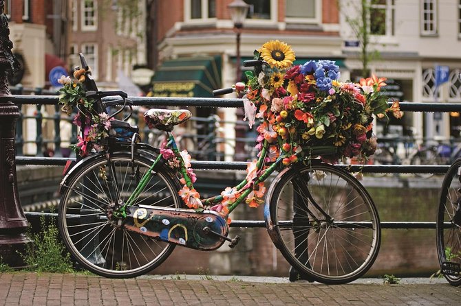 Private Tour: Amsterdam City Walking Tour and Canal Cruise - Leidseplein to the Museum District: lively streets without getting lost