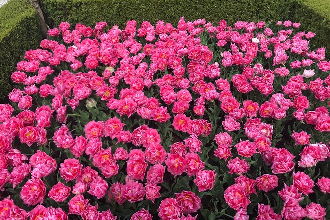 Private Tour to the Keukenhof and Tulip Fields - Making it your day: practical tips for a smooth tulip schedule