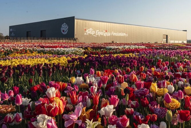 Private Tour to Tulips, Keukenhof, Windmills & Cheese Farm - Zaanse Schans windmills: the shoe-making demo plus classic Dutch photo ops