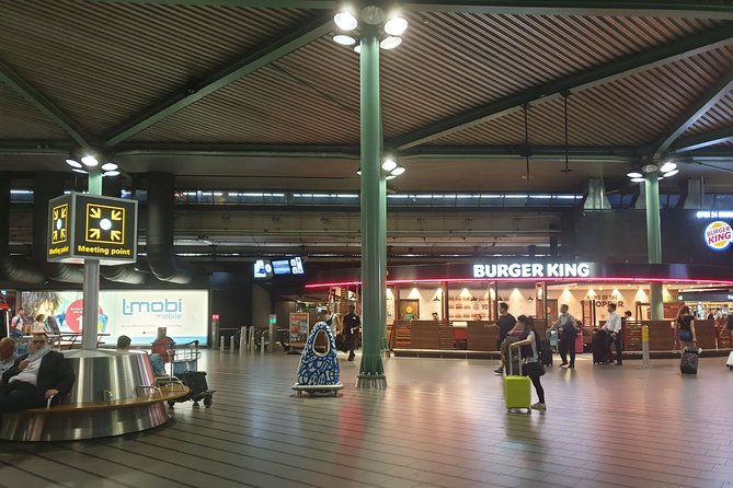 Private Transfer from Schiphol Airport to Rotterdam - Flight Delays and Real Life: What the Reviews Suggest Works