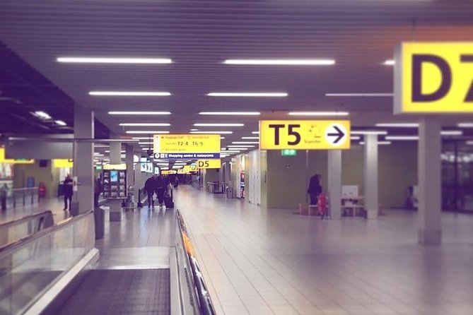 Private Transfer from the Cruise Port Amsterdam to AMS Schiphol - What You’ll Do When You Arrive at Schiphol