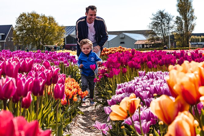 Private Tulip Fields, Windmills and Cheese Tour from Amsterdam - Jacobs Hoeve by Henri Willig: cows, Gouda lessons, and a tasting you’ll remember