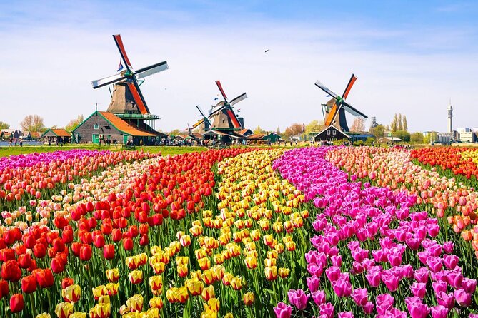 Private Zaanse Schans & Volendam Tour: Windmills, Cheese & Clogs - Price and value at $341.53 per person