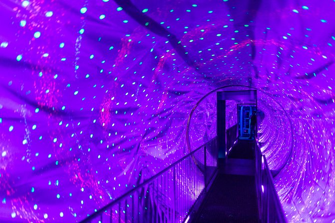 Ripley's Believe It or Not! Amsterdam Admission Ticket - The lounge above Dam Square: take a break like you planned it